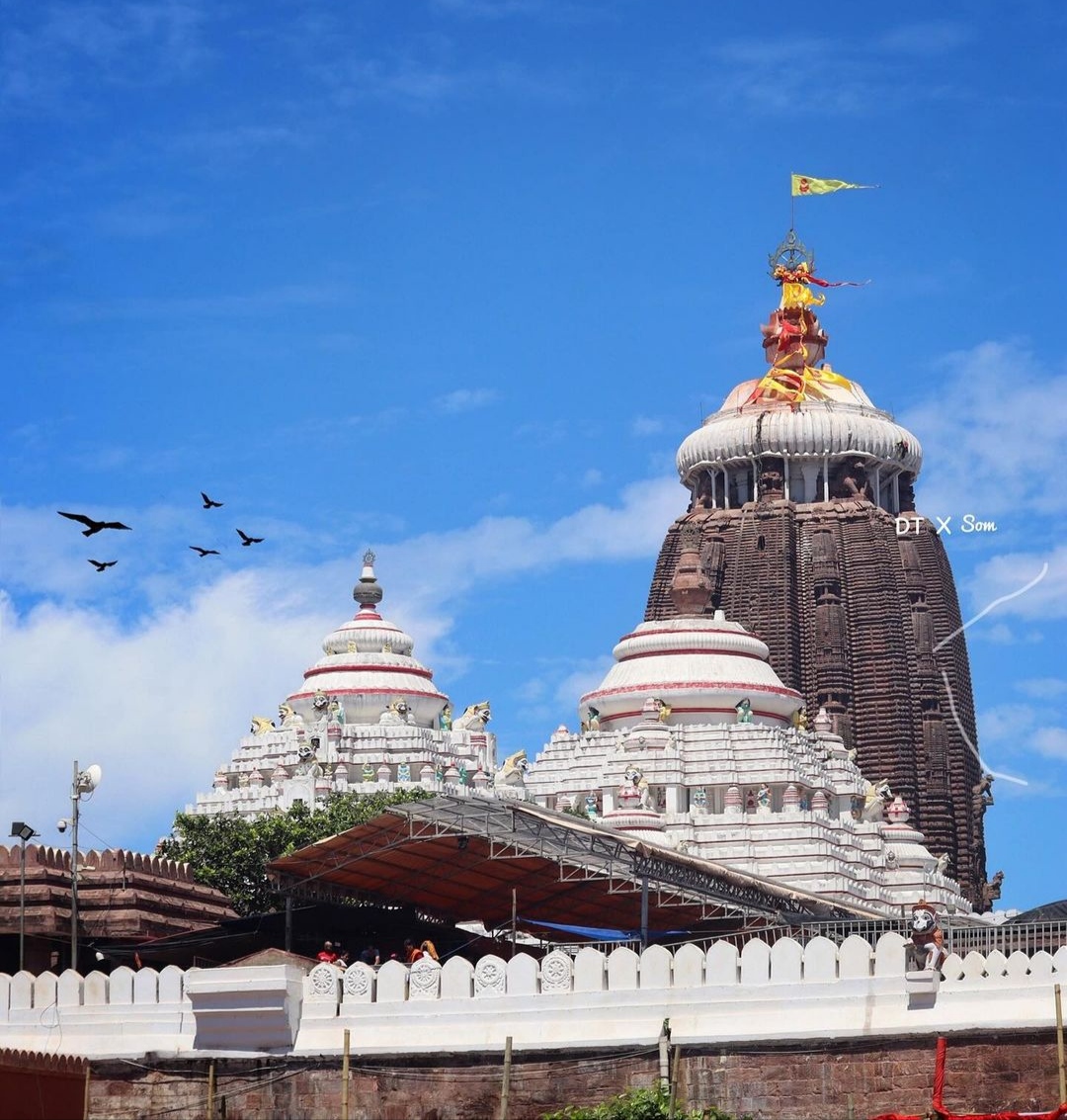 Jagannath Rath Yatra 2024: President Murmu witnesses rituals in Puri